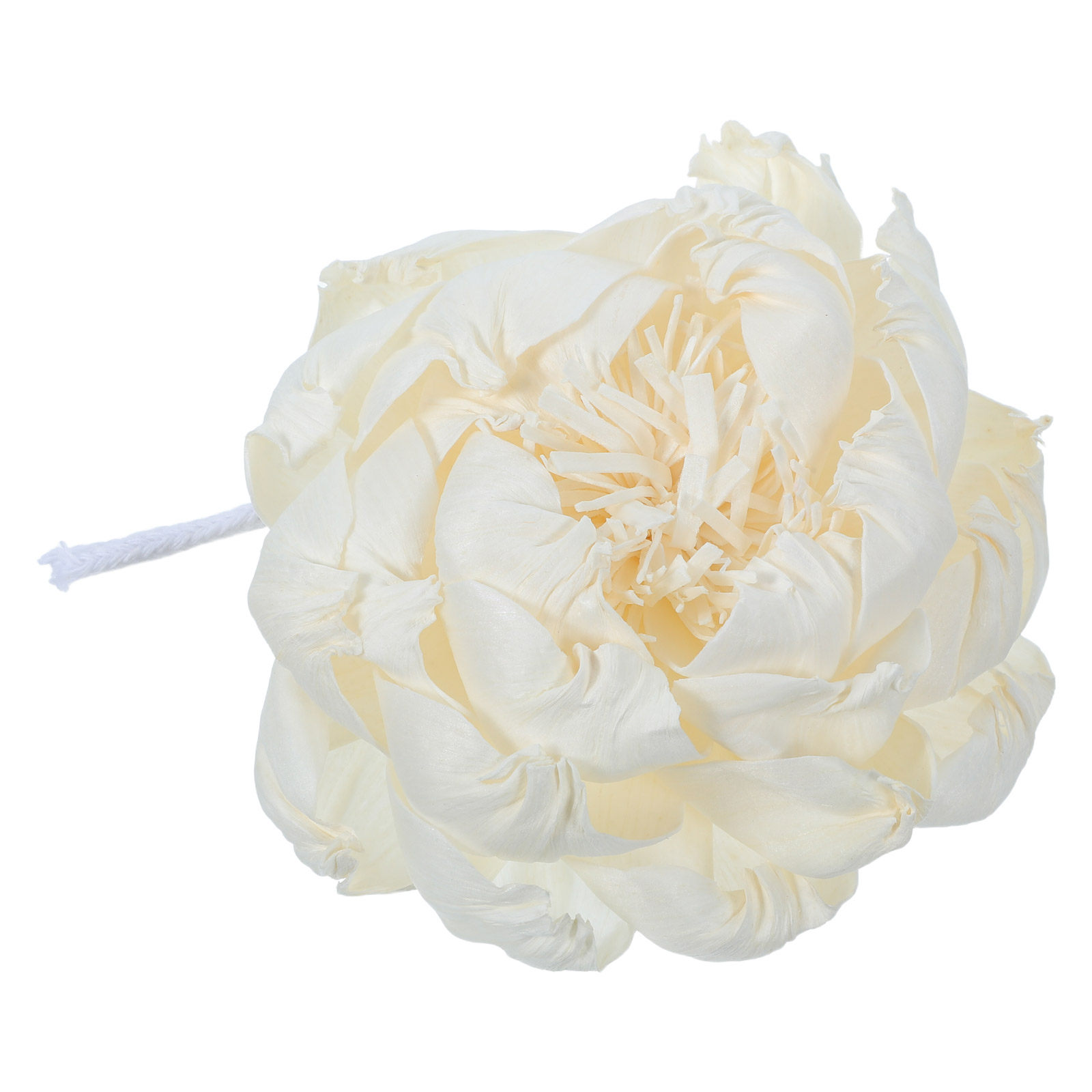 Peony Head Fragrance Diffuser  - Home Fragrance review and price