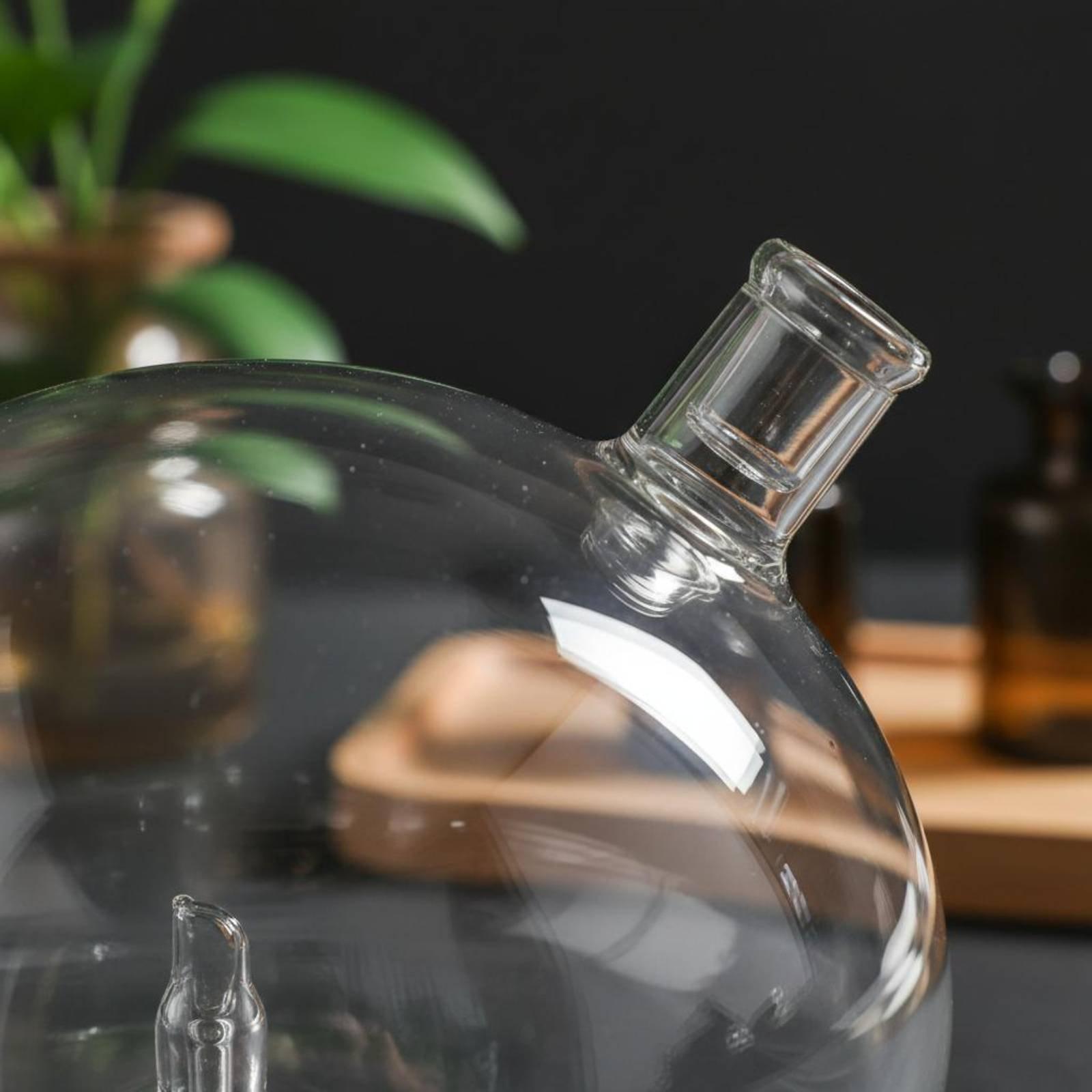 Diffuser Bottle Universal Fit  - Home Fragrance review and price